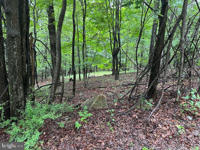 Lot 61 High Mountain View Road Romney, WV 26757 - Photo 9 of 9