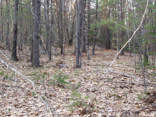 512 B Carding Machine Road Bowdoinham, ME 04008 - Photo 7 of 11 Photo