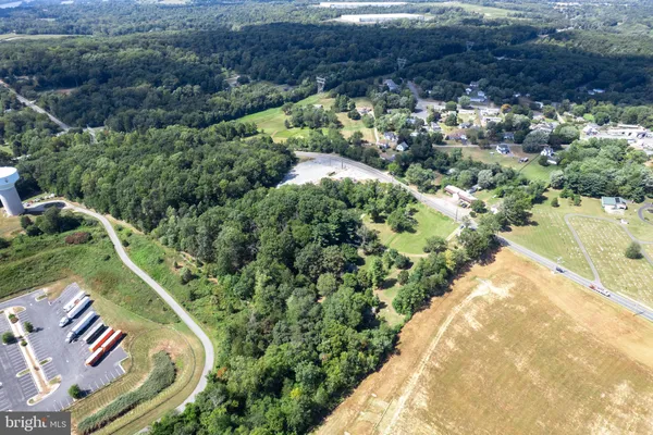 a view of a backyard with plants