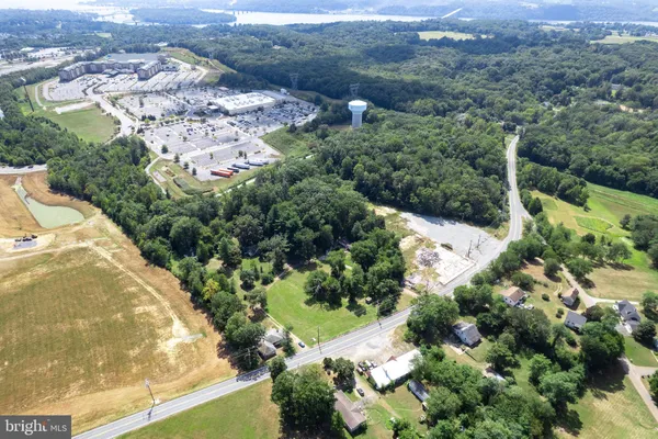a view of a garden with a street