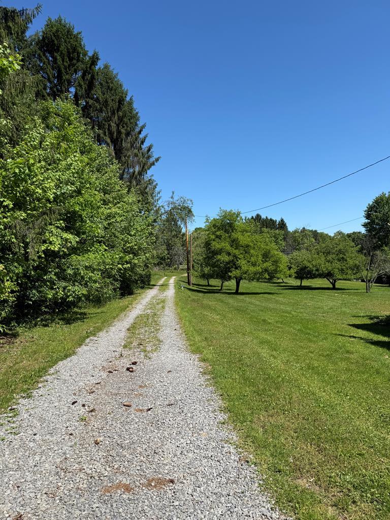 1226 Mercer Road Franklin, PA 16323 - Photo 29 of 68