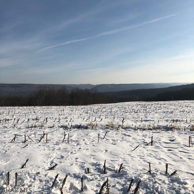 Off Orchard Hollow Road Manns Choice, PA 15550 - Photo 10 of 10 Gallery Image 10