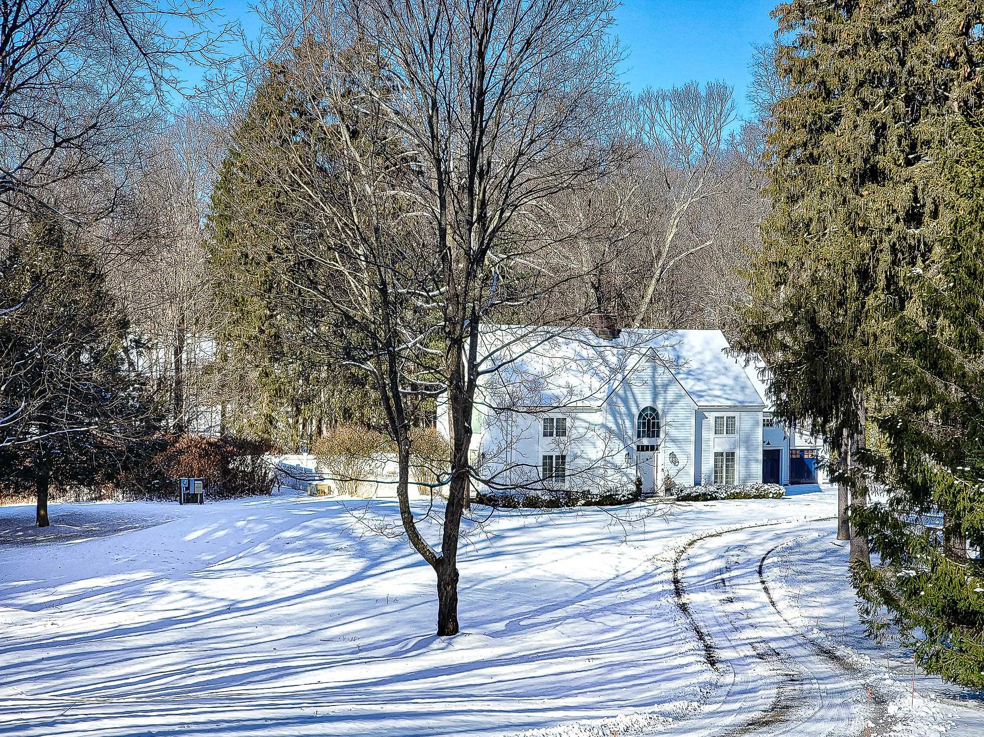 49 Linden Lane Millbrook, NY 12545 - Photo 2 of 29 a view of road with yard and trees
