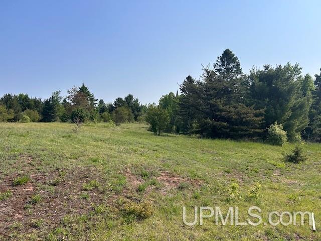 13408 West Jackola ( Road Atlantic Mine, MI 49905 - Photo 5 of 21