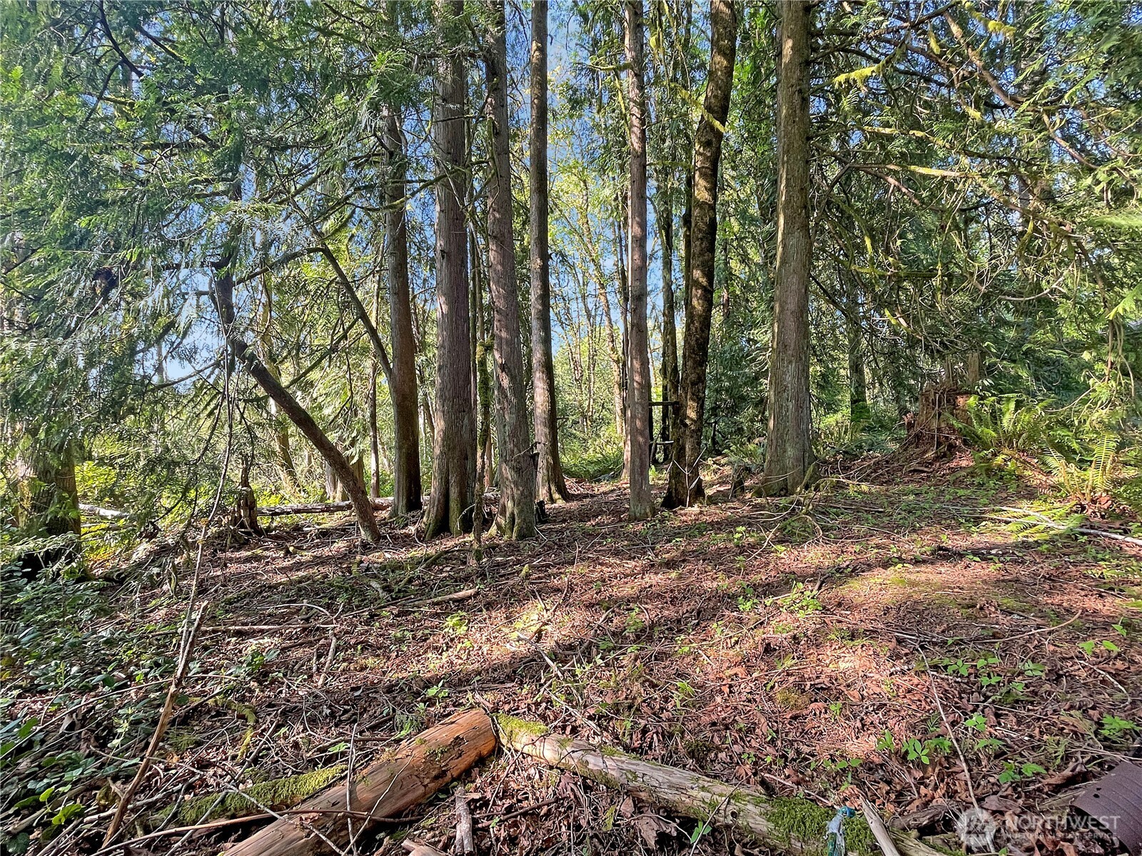 0 Studebaker Rd Spur 1 Castle Rock, WA 98611 - Photo 1 of 12 Gallery Image 1