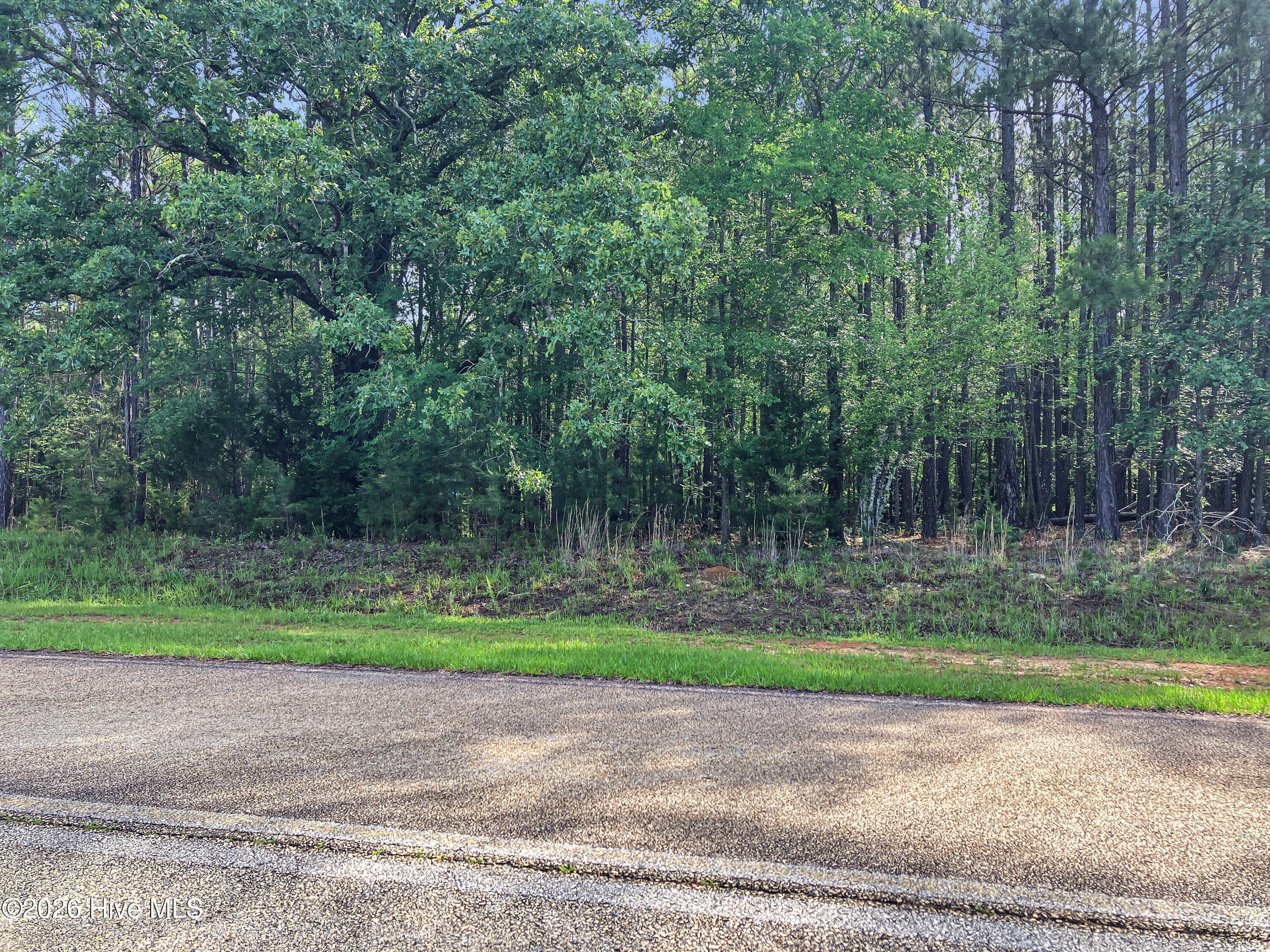 1048 Clinton-Williams Road Lincolnton, GA 30817 - Photo 1 of 5 ca211365d75dee96f8cddbfa923e056ea9f75813
