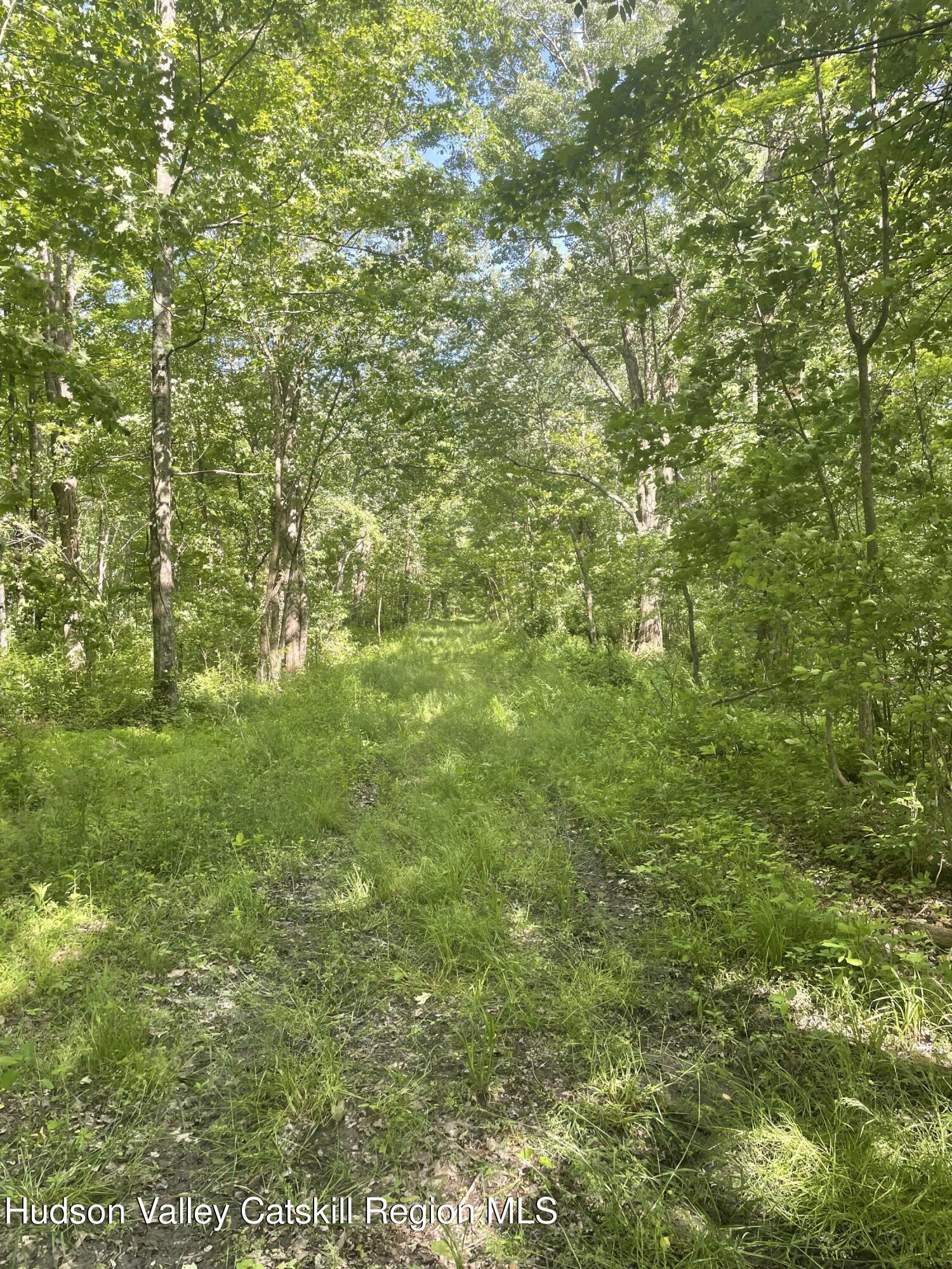 0 Albany Post Road Gardiner, NY 12525 - Photo 18 of 28 IMG_6194