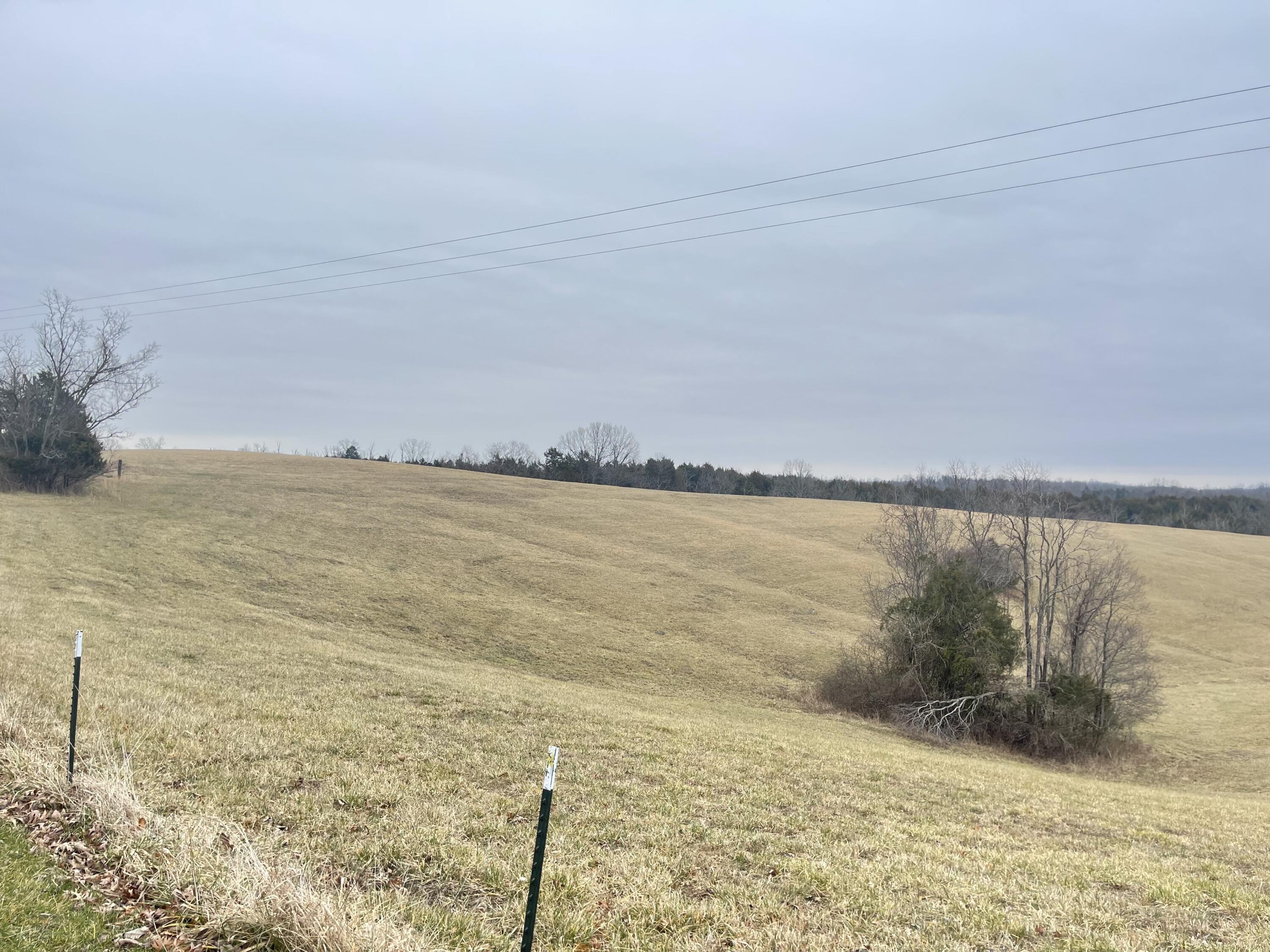 0 Stratton Road Salvisa, KY 40372 - Photo 4 of 9 IMG_7236