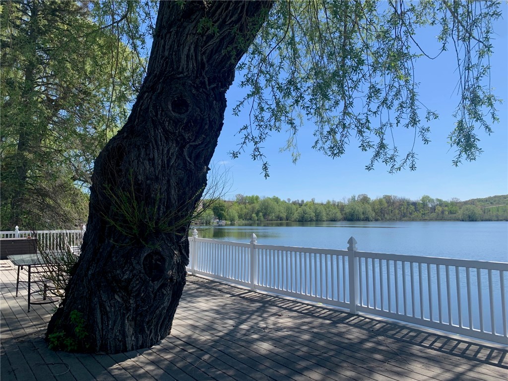 8046 Smith Pond Road Howard, NY 14809 - Photo 23 of 41