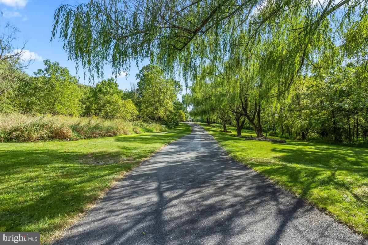 170 Moore Road Lebanon, PA 17046 - Photo 5 of 5 Welcoming Willows to greet you along your drive