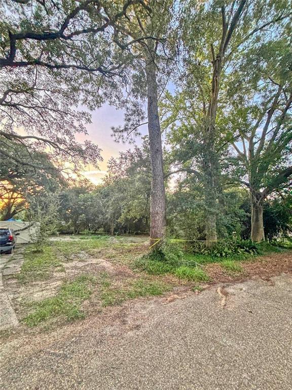 1518 Goldenrod Avenue Baton Rouge, LA 70808 - Photo 2 of 5