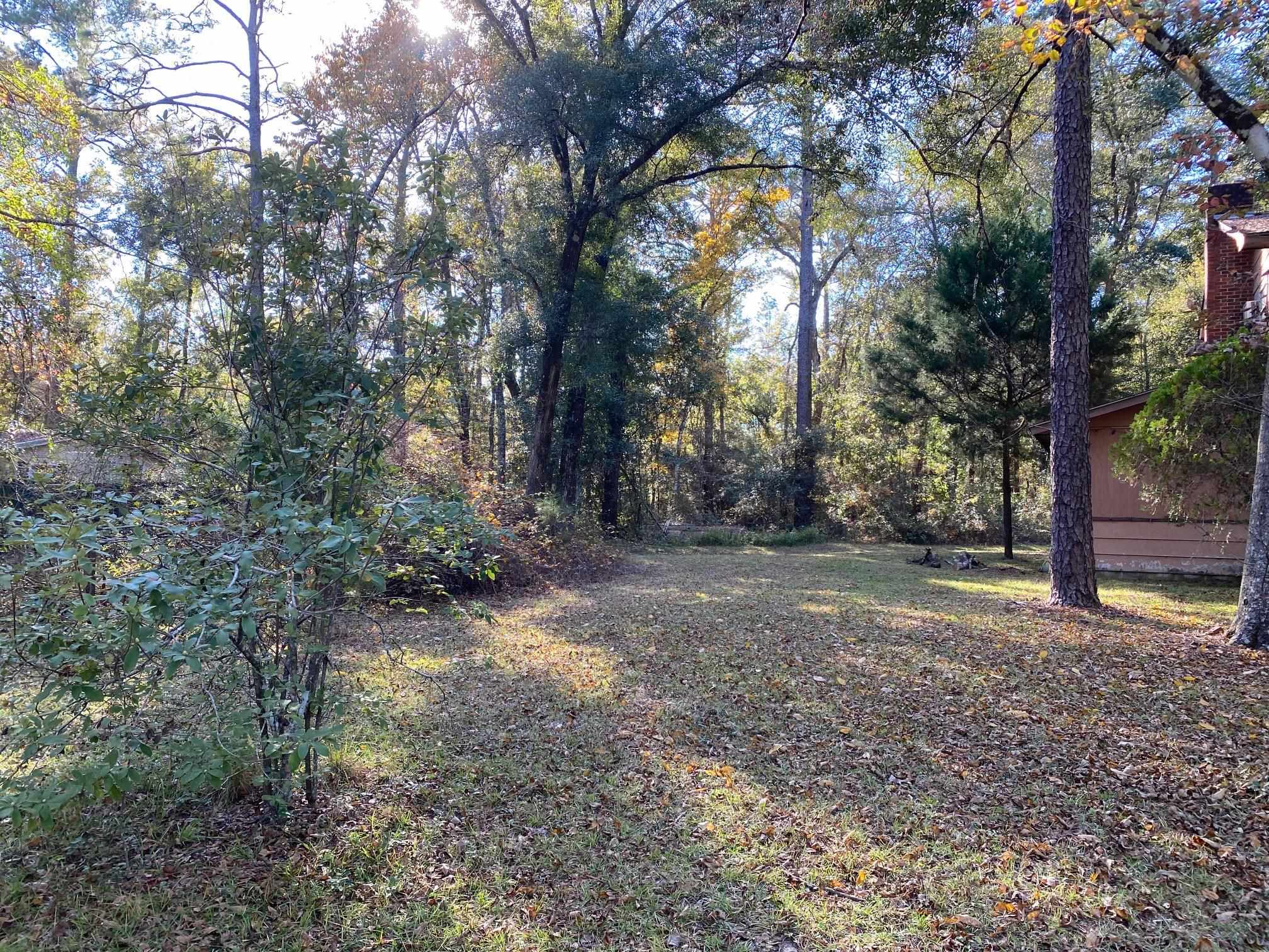73 River Road Havana, FL 32333 - Photo 6 of 7 Gallery Image 6
