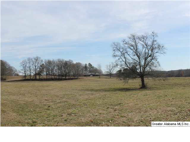 9 Highway 9, Unit 84 Lineville, AL 36266 - Photo 4 of 16