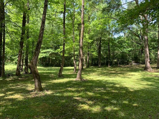 115 Justin Lane Raymond, MS 39154 - Photo 8 of 27 Photo 8