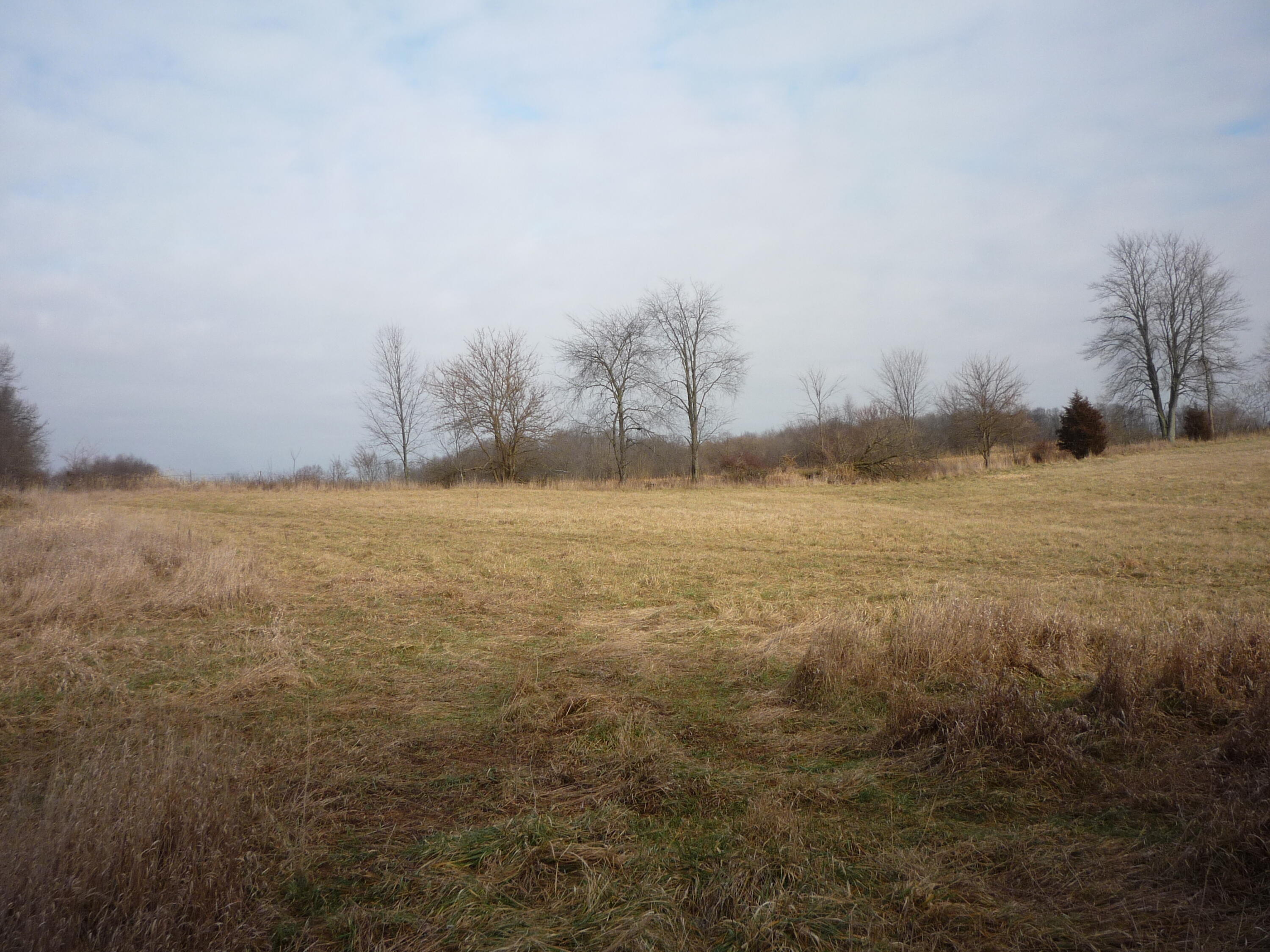 903 Horkey Road Bronson, MI 49028 - Photo 54 of 78 P1080560