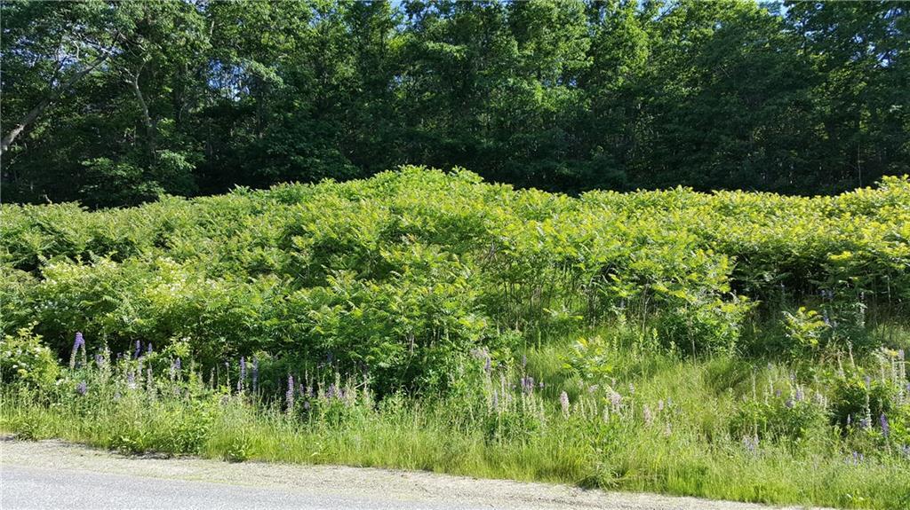 Lot 10 Brown Road Wiscasset, ME 04578 - Photo 1 of 1 Photo