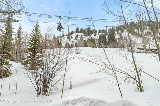 $100,000 | 99 Steeplechase Drive, Aspen, CO 81611