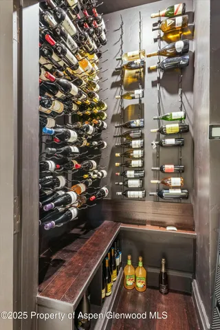 $100,000 | 99 Steeplechase Drive, Aspen, CO 81611