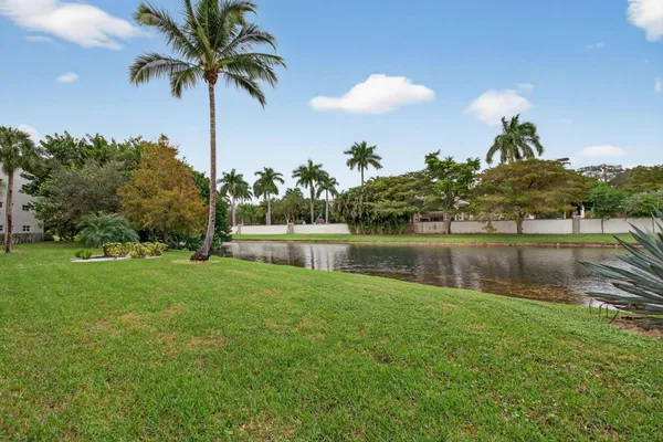 a view of a yard and a palm tree