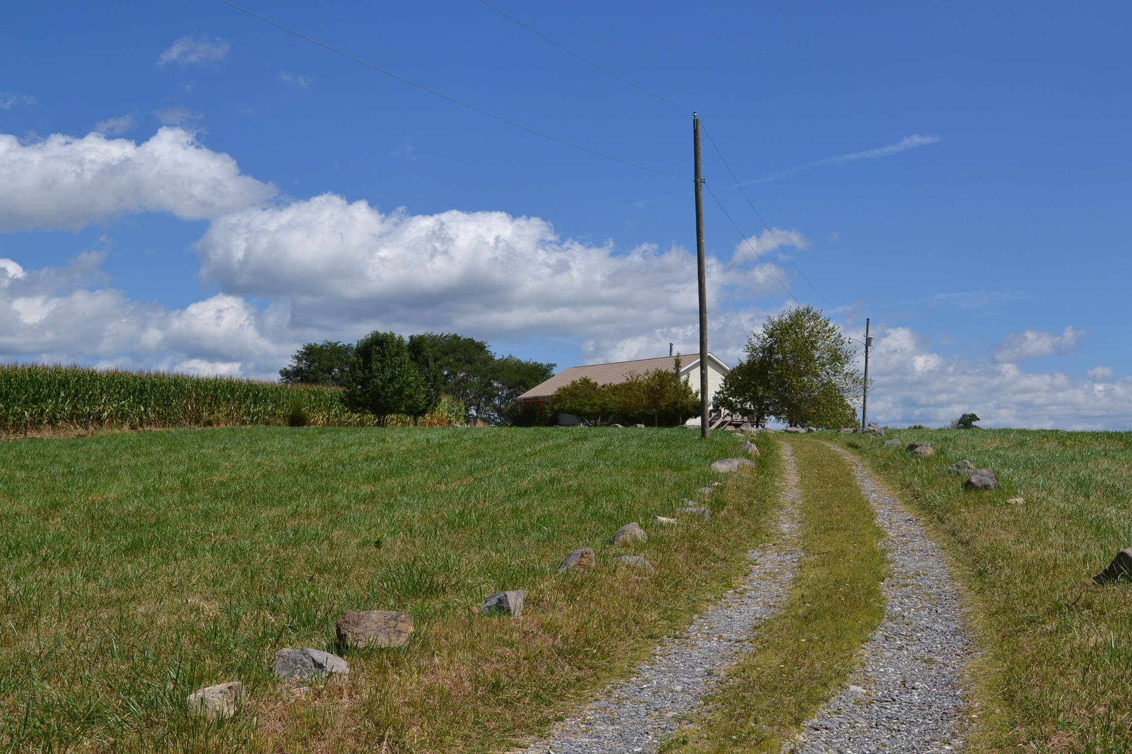 1310 Moore Road Sinks Grove, WV 24976 - Photo 18 of 59 Gallery Image 18