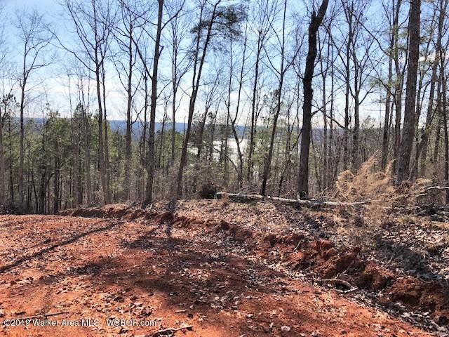 297 County Road Cullman, AL 35057 - Photo 5 of 7 Gallery Image 5