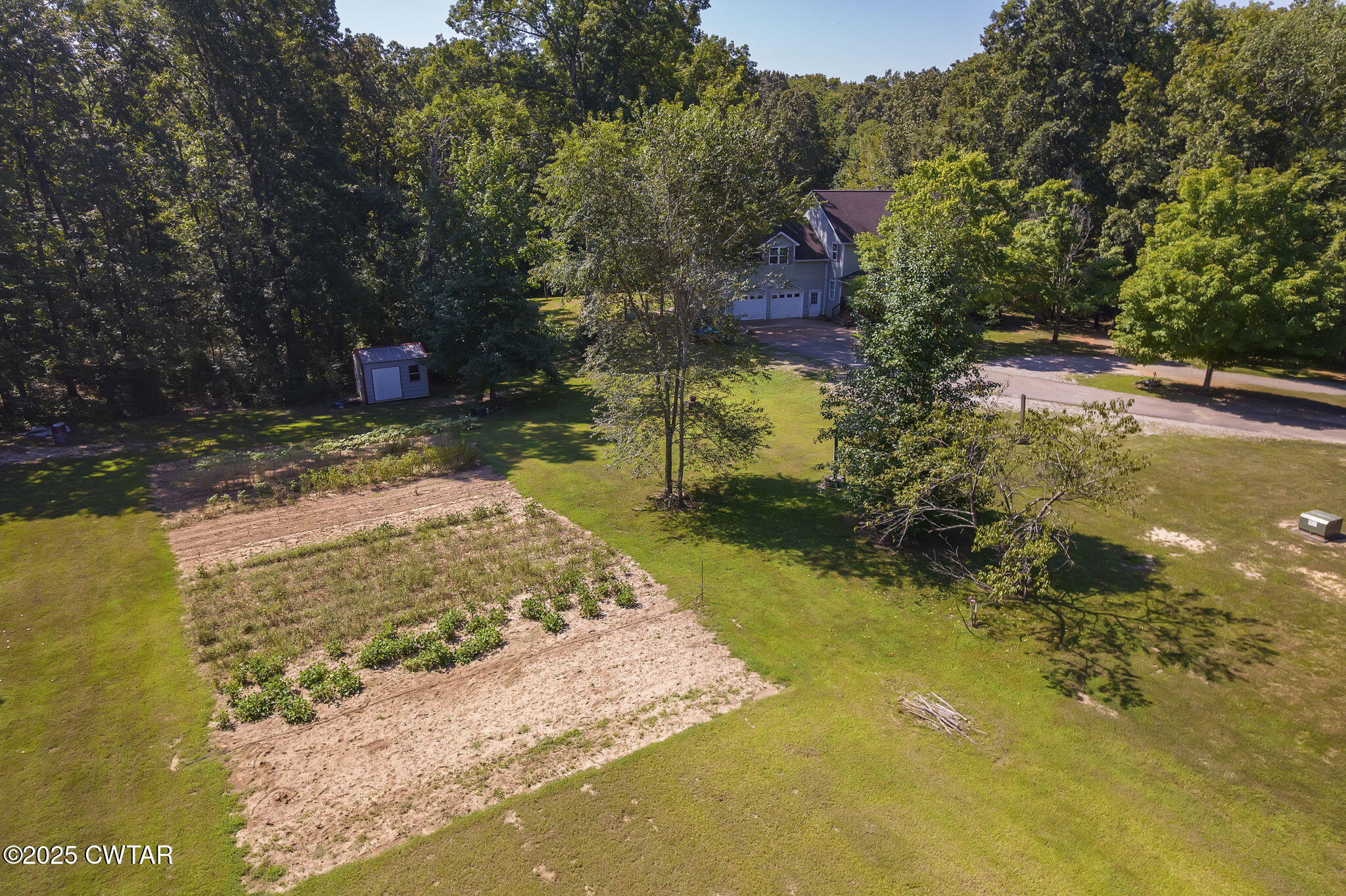 50 Braund Road Finger, TN 38334 - Photo 48 of 65 a view of a yard with large trees