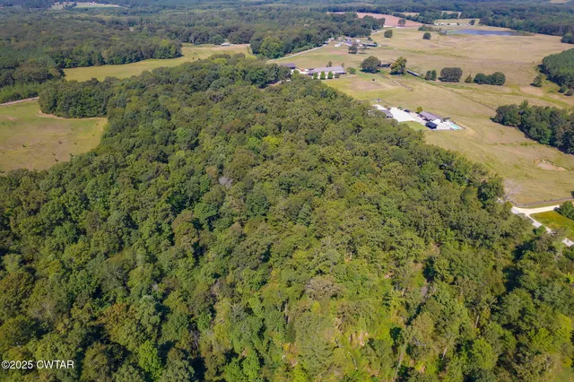 $549,000 | 50 Braund Road, Finger, TN 38334