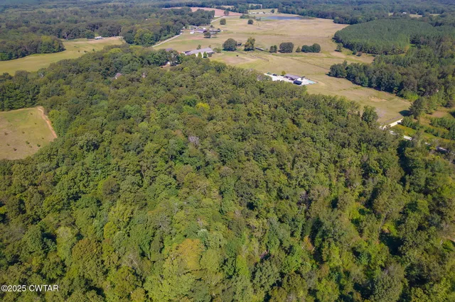 $549,000 | 50 Braund Road, Finger, TN 38334
