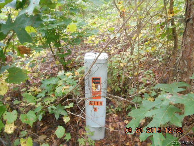0 Creekside Spring Grove Spring Grove, VA 23881 - Photo 13 of 15 Gallery Image 13