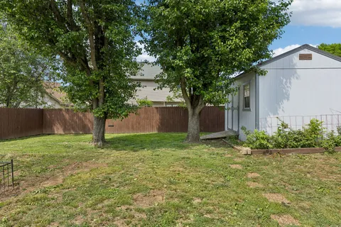 a tree in front of a house with a yard