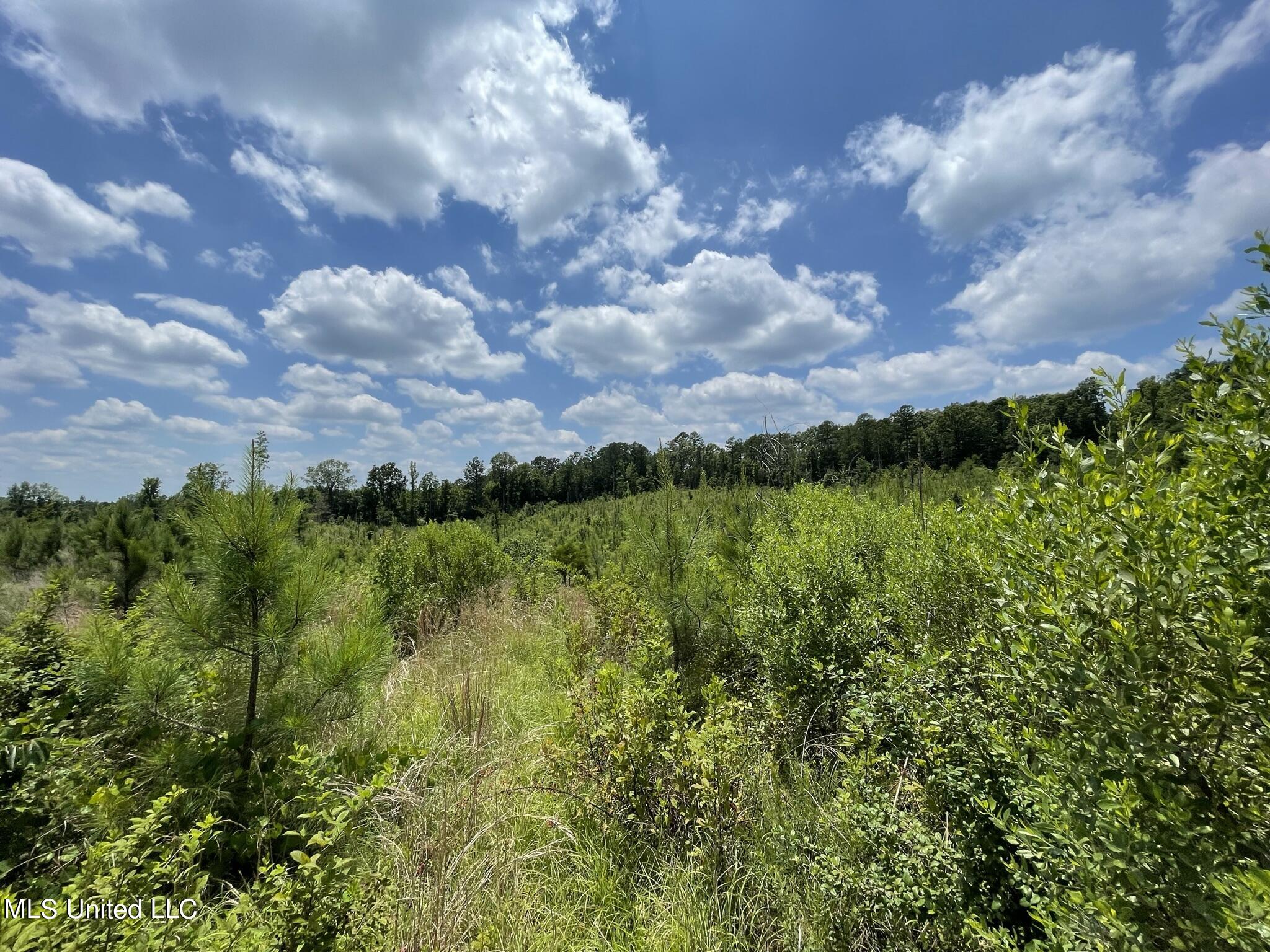 0 Rocky Hill Road Camden, MS 39045 - Photo 4 of 17 IMG_6017