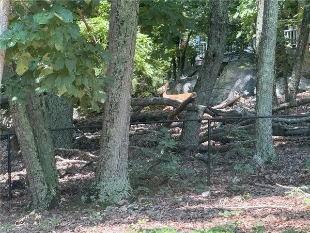 $549,000 | 1011 Westmont Drive, Asheboro, NC 27205