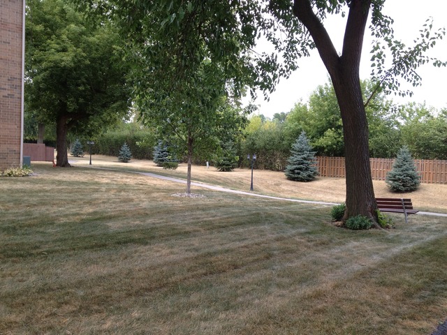645 South Virginia Road, Unit 224 Crystal Lake, IL 60014 - Photo 3 of 9 a view of a tree with a yard