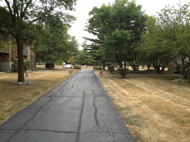 645 South Virginia Road, Unit 224 Crystal Lake, IL 60014 - Photo 4 of 9 a view of a yard with plants and trees