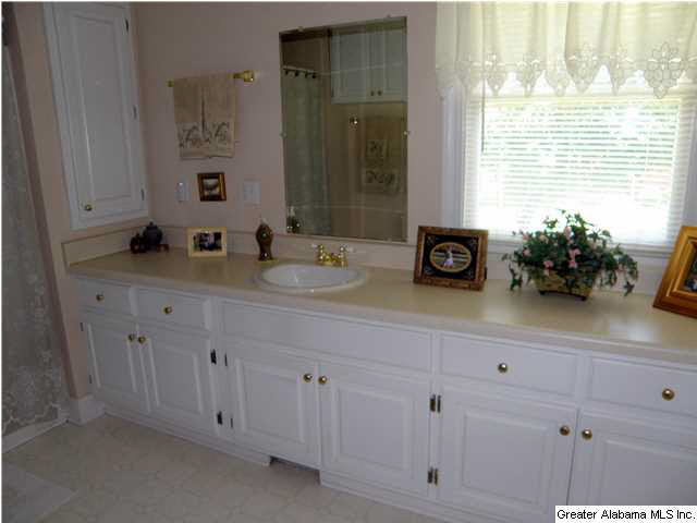 256 Overlook Drive Cleveland, AL 35049 - Photo 18 of 31