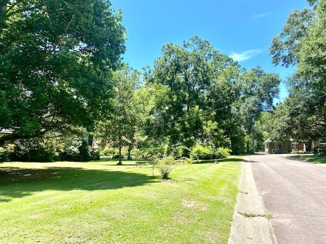 702 Winn Avenue Fairhope, AL 36532 - Photo 3 of 40