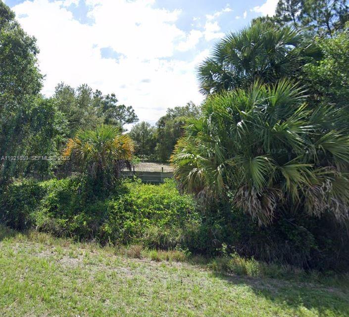360 South Palomino Street Clewiston, FL 33440 - Photo 2 of 2 a view of outdoor space and yard