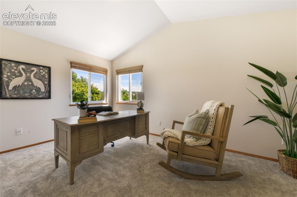 517 Talus Road Monument, CO 80132 - Photo 13 of 50