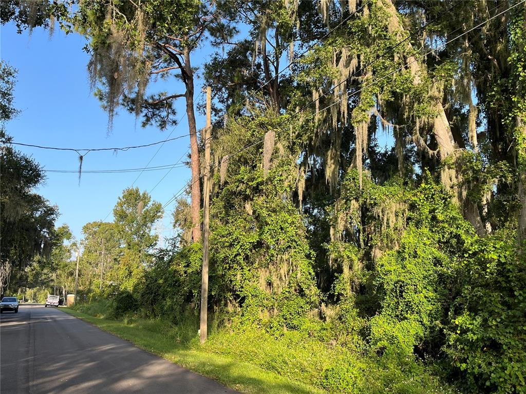 266 Toms Road DeBary, FL 32713 - Photo 4 of 8