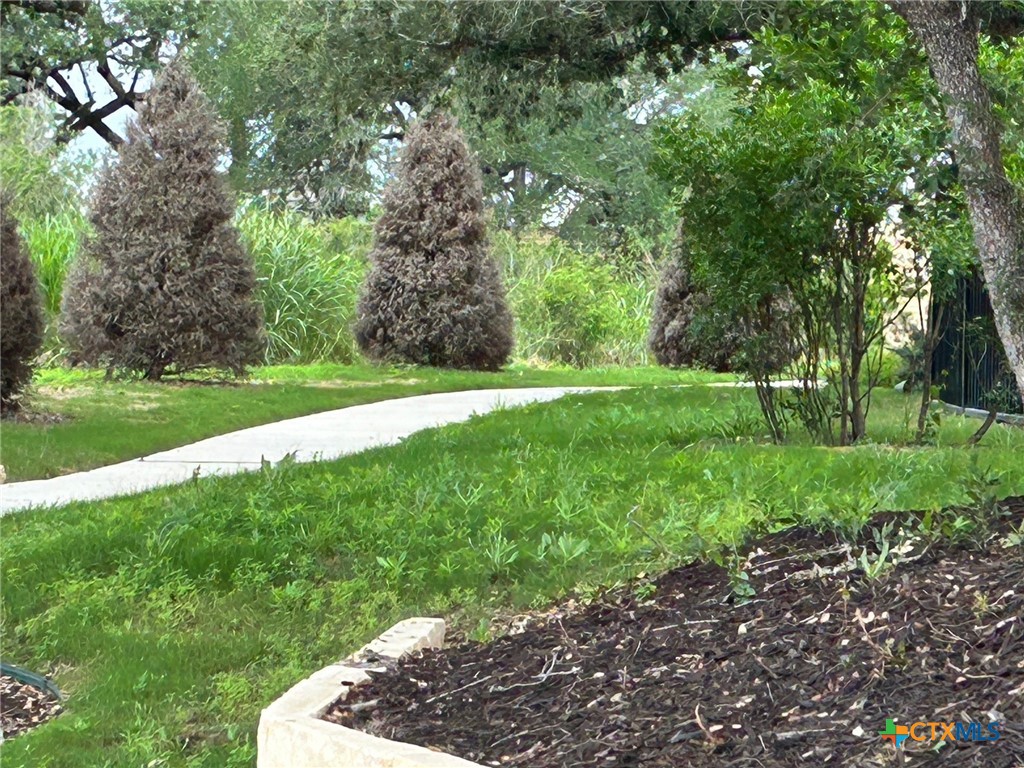 1109 Elm Fall Fall, Unit FALL Seguin, TX 78155 - Photo 17 of 20