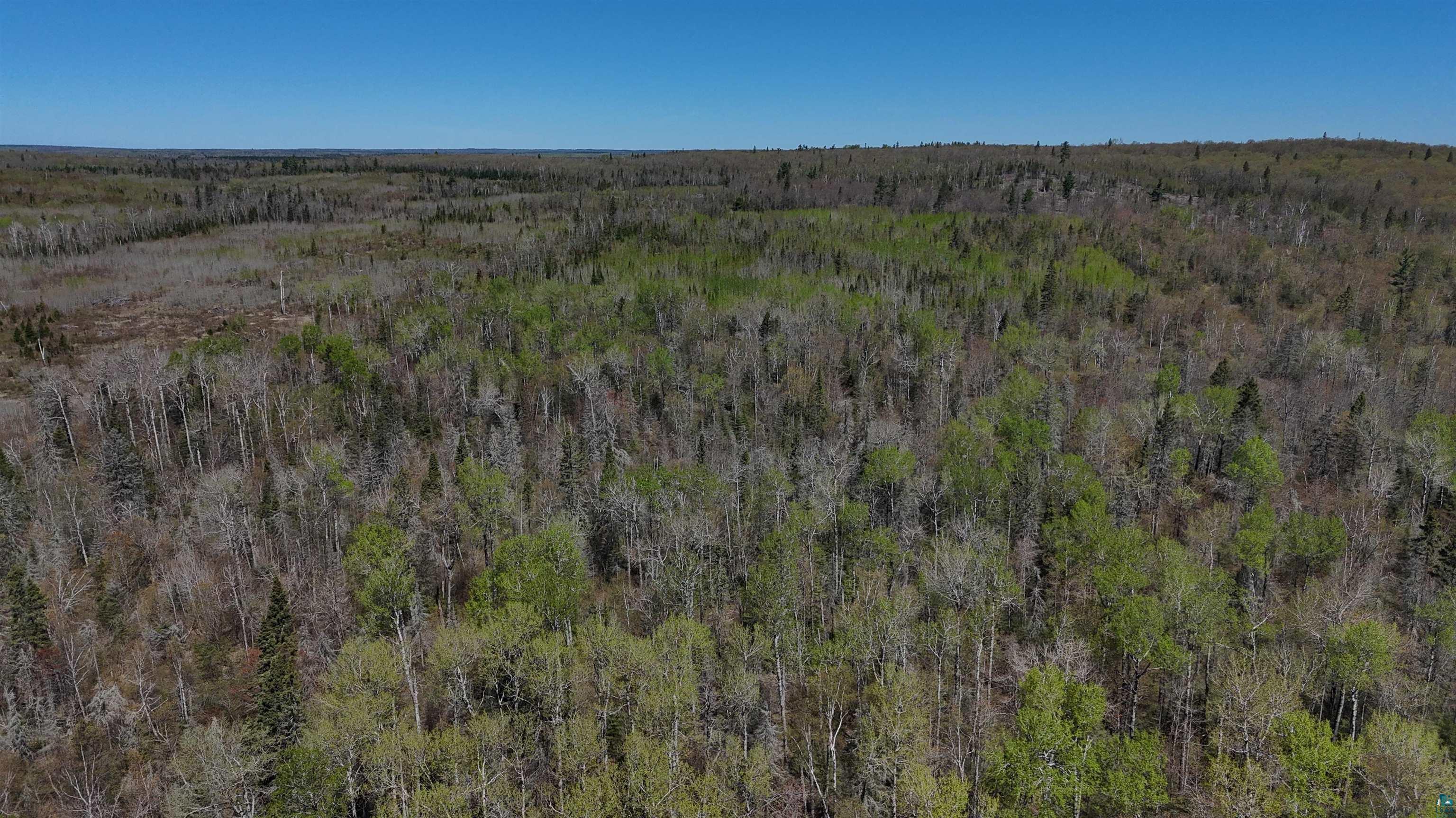 4715 Heffelfinger Road Finland, MN 55603 - Photo 9 of 31