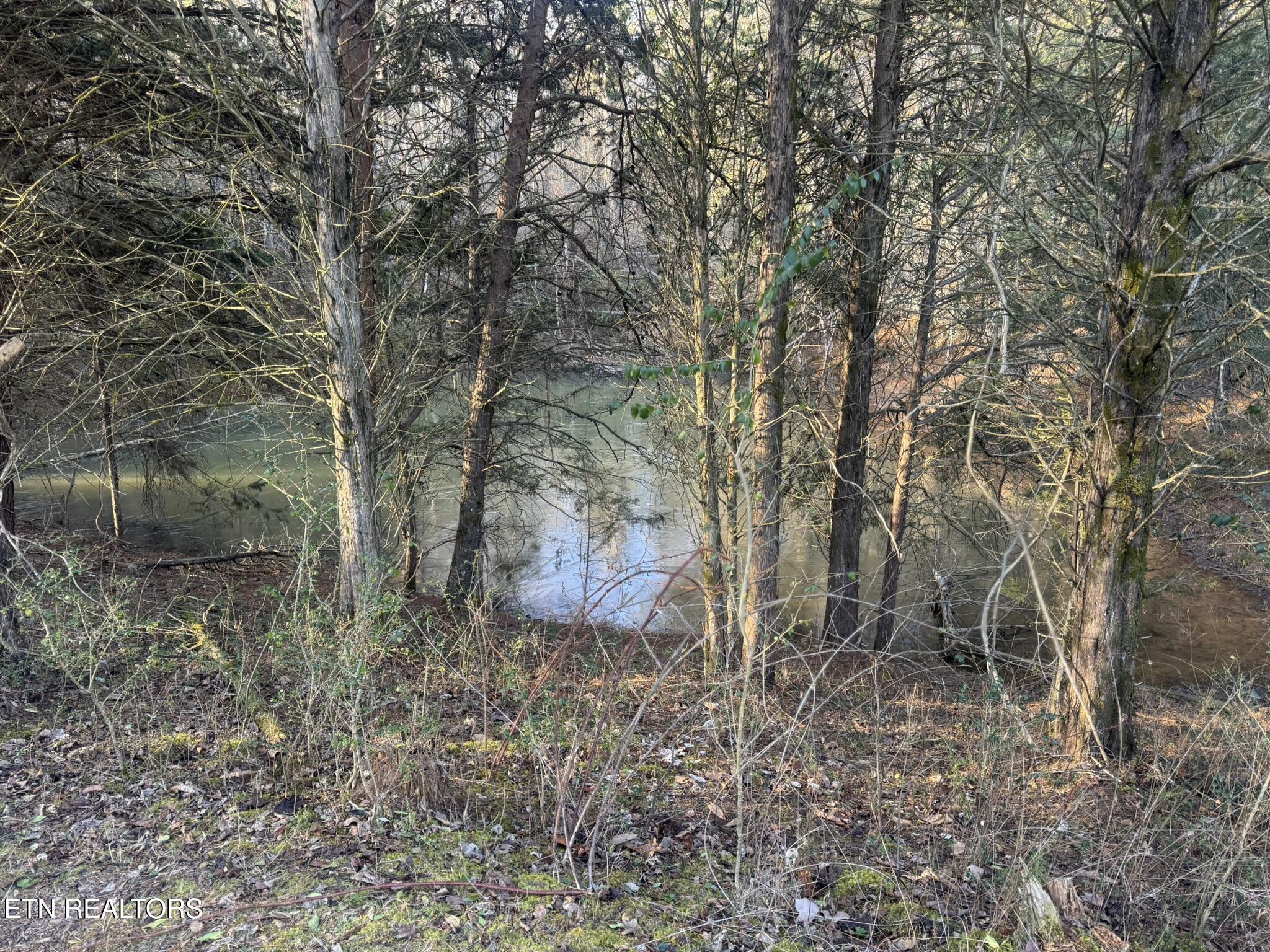 Lot 2 Whittle Road New Market, TN 37820 - Photo 11 of 30 IMG_9954