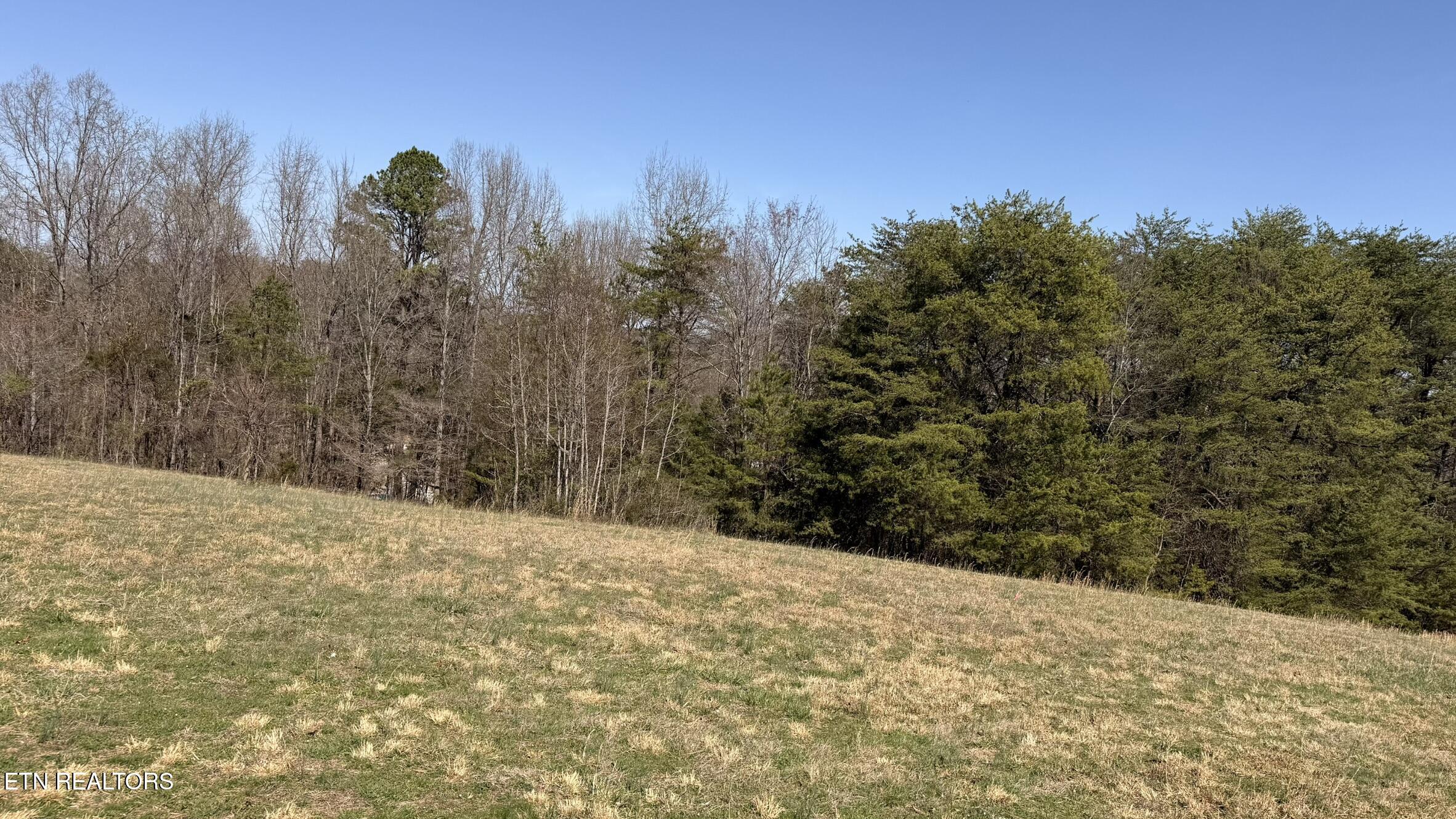 Lot 2 Whittle Road New Market, TN 37820 - Photo 19 of 30 IMG_4974