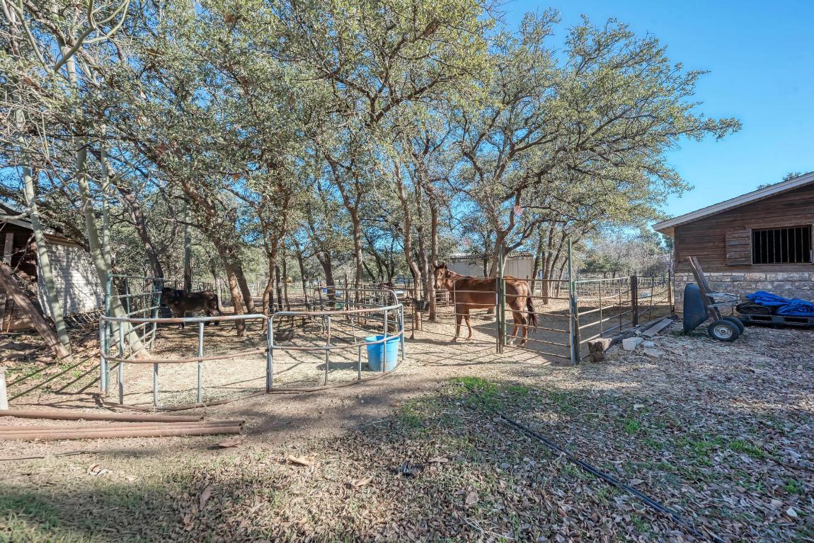 321 Navajo Trail Georgetown, TX 78633 - Photo 32 of 40 a view of backyard with green space