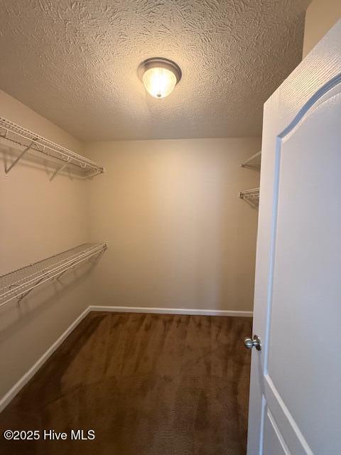 419 Lafitte Way New Bern, NC 28560 - Photo 15 of 15 Primary walk in closet