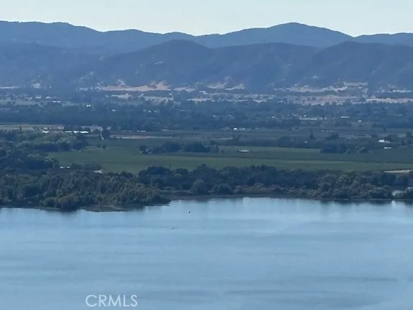a view of a dry yard