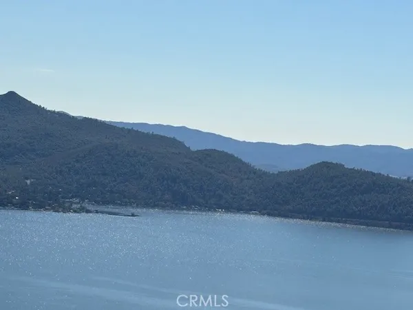 a view of a dry back yard