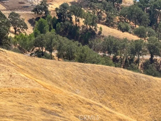 a view of a backyard of the house