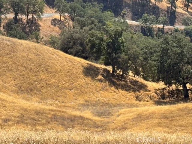 a view of a road from a yard