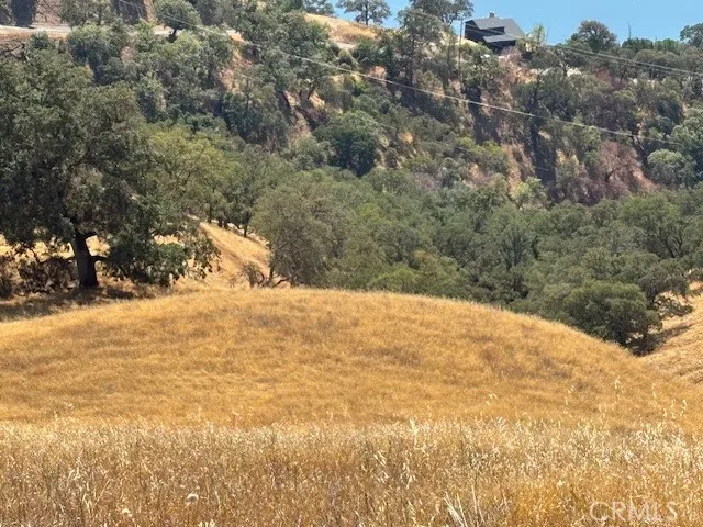 a view of empty space and tree